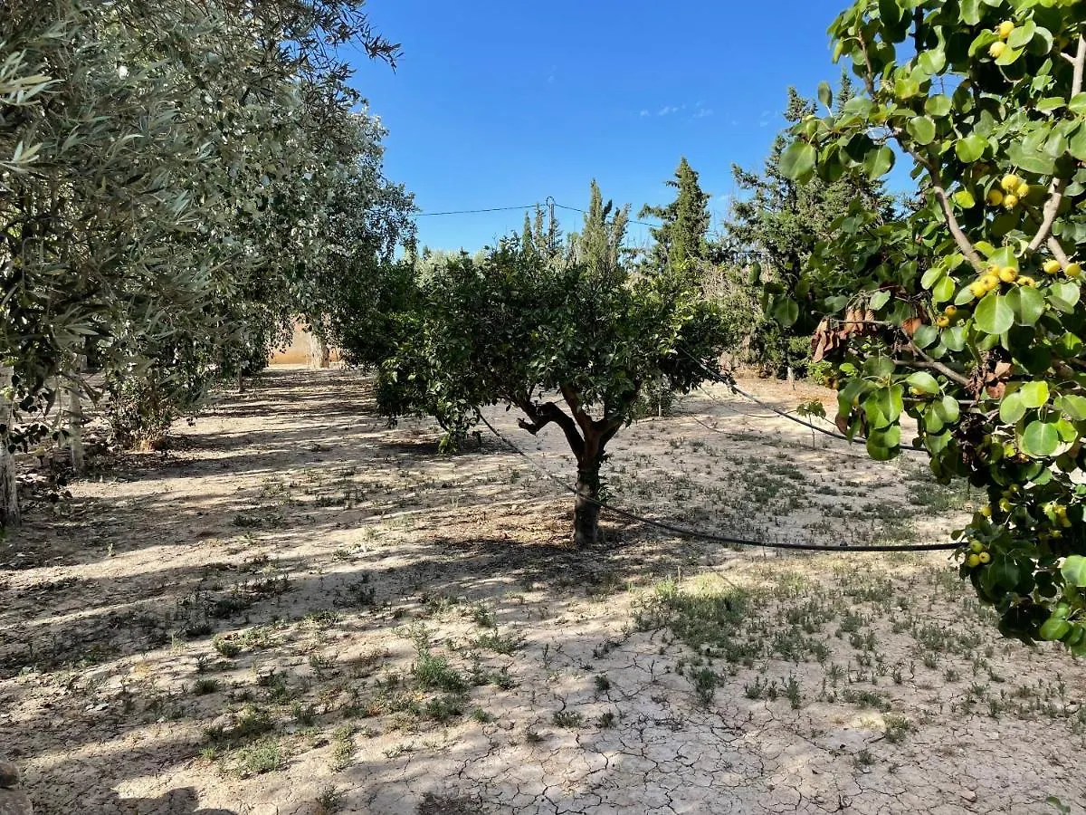 Cortijo Cano Cuevas del Almanzora Landhaus